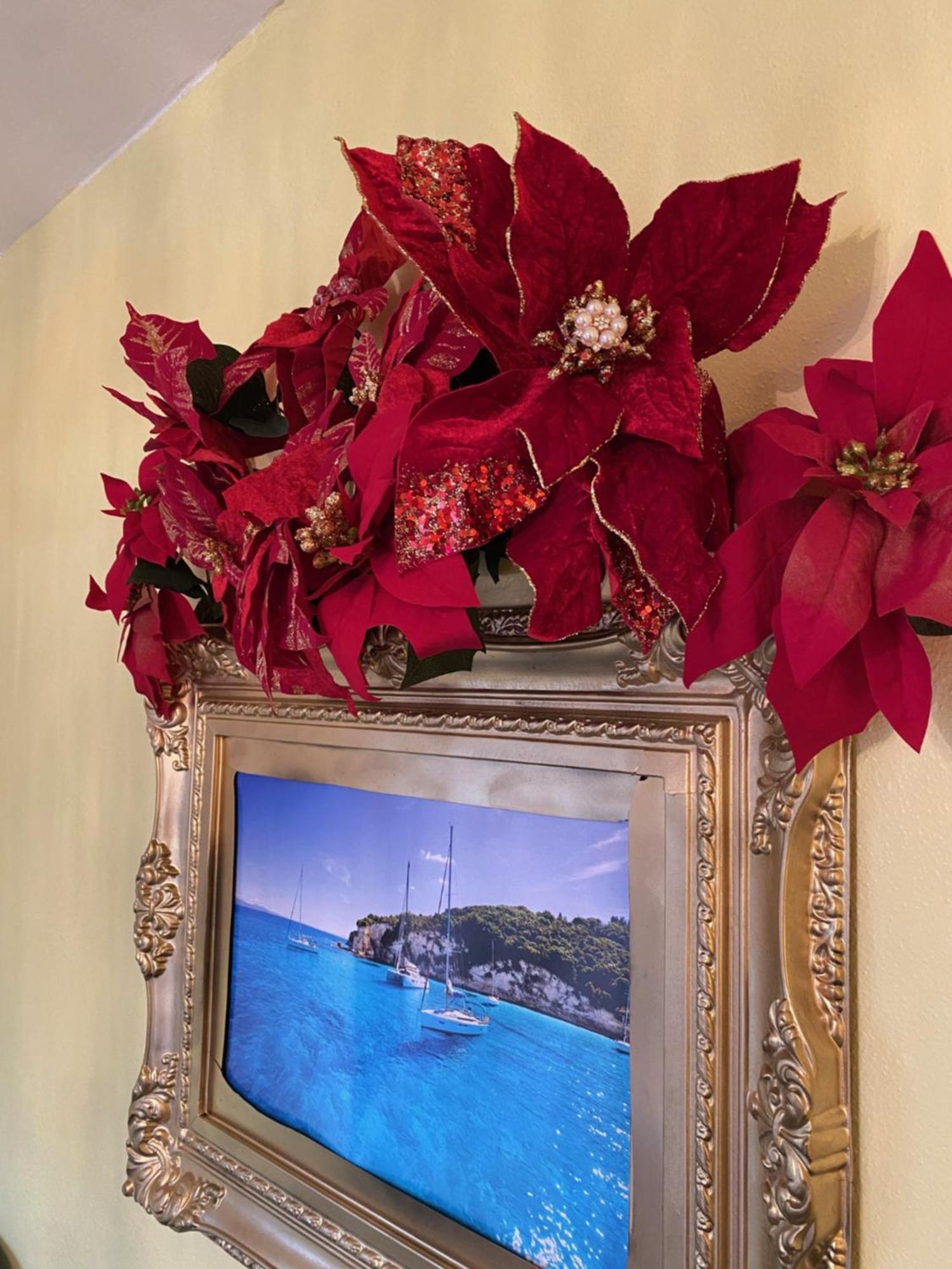 Cozy Room Near Airport & Highway Σαιντ Λούις Εξωτερικό φωτογραφία
